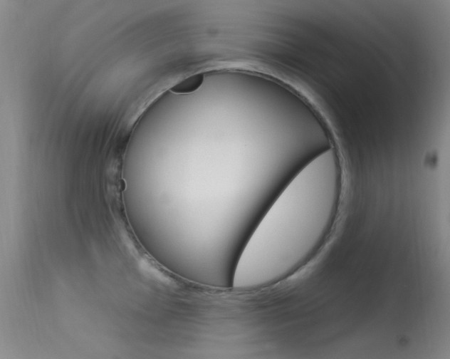 X0000113631001200909181300