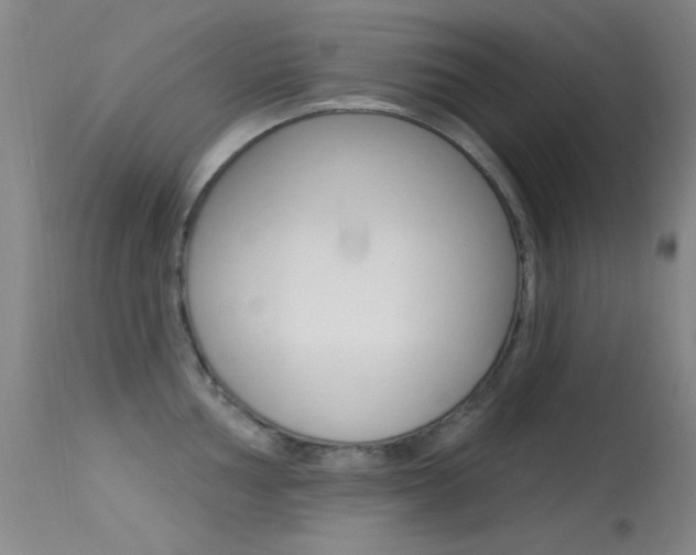 X0000113631002200909181300
