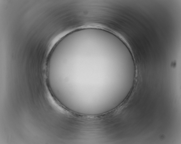 X0000113631003200909181300
