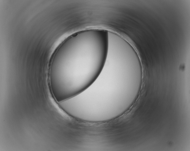X0000113631005200909181300