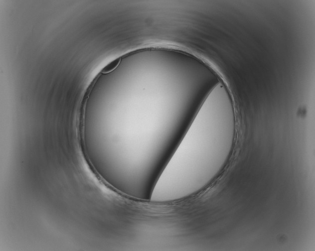 X0000113631007200909181300