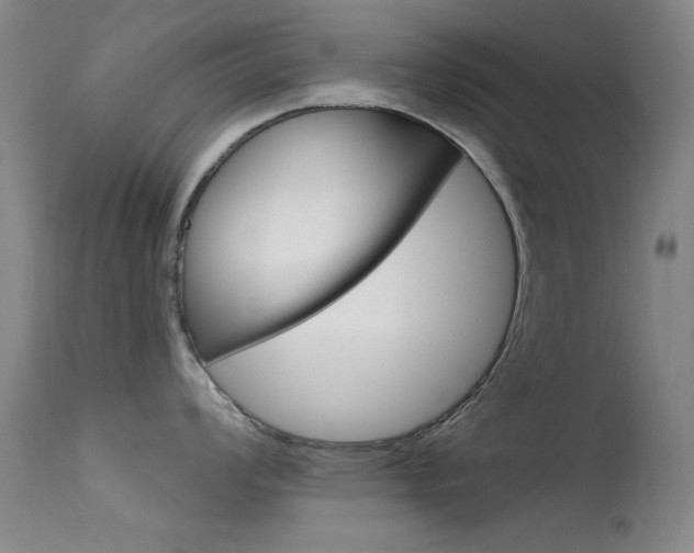 X0000113631008200909181300