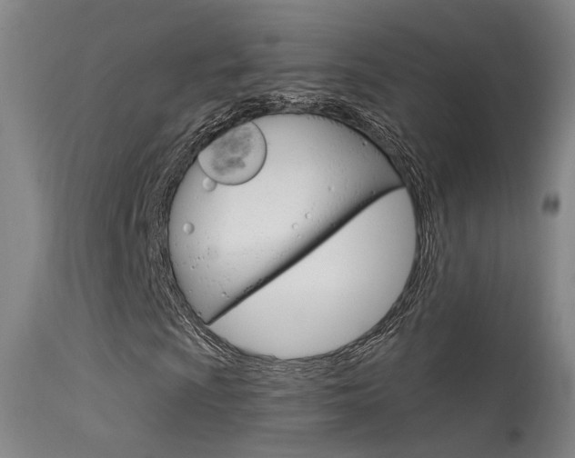X0000113631009200909181259