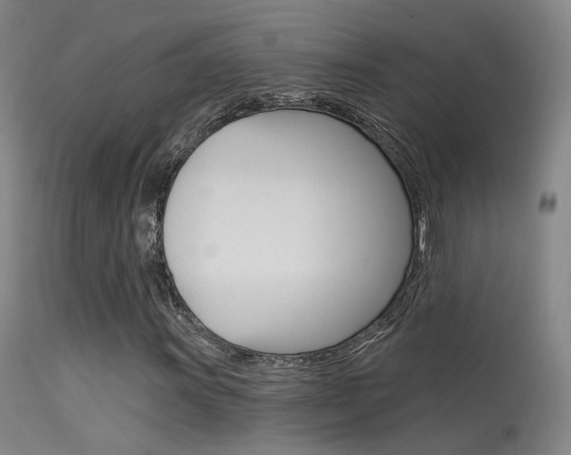 X0000113631011200909181259
