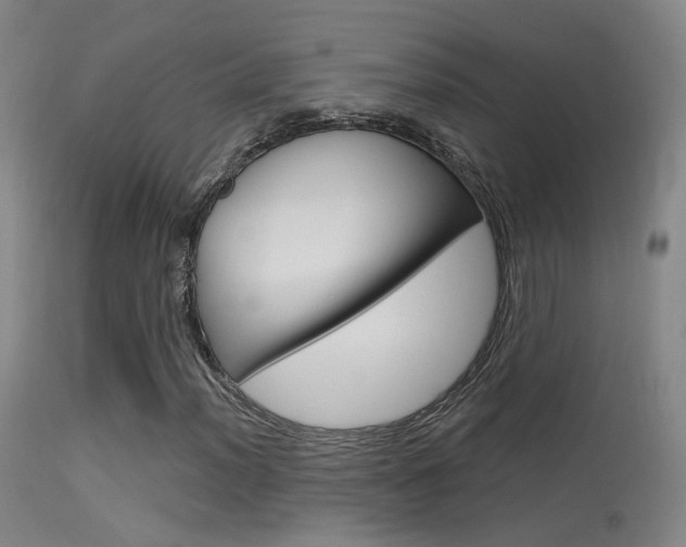 X0000113631012200909181259