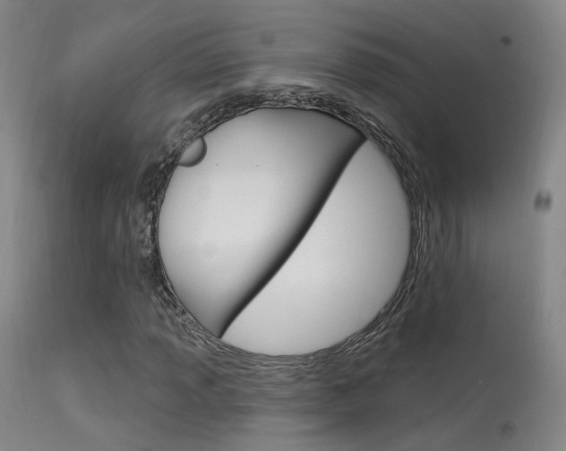 X0000113631013200909181259