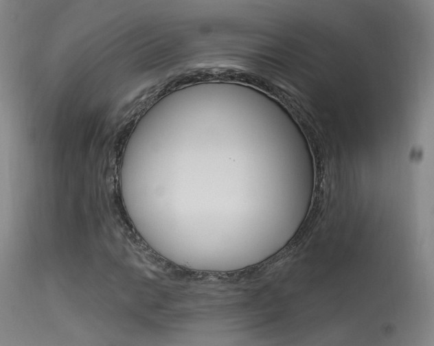 X0000113631014200909181259