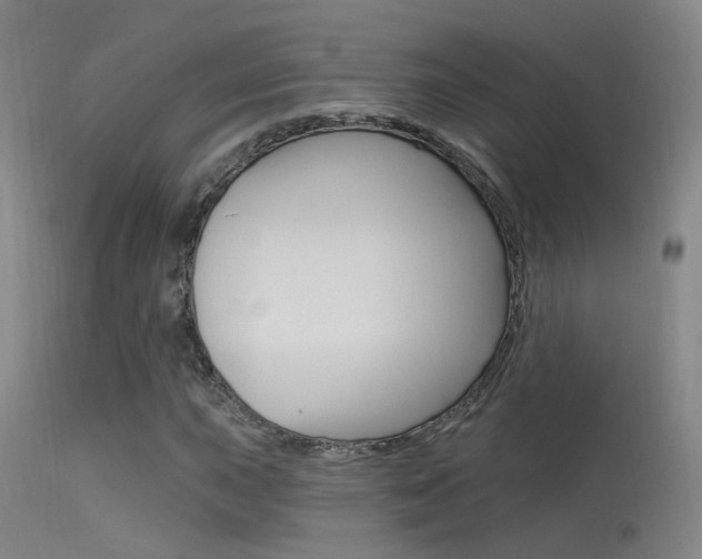 X0000113631015200909181259