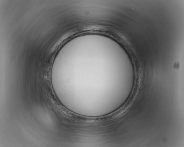 X0000113631017200909181259