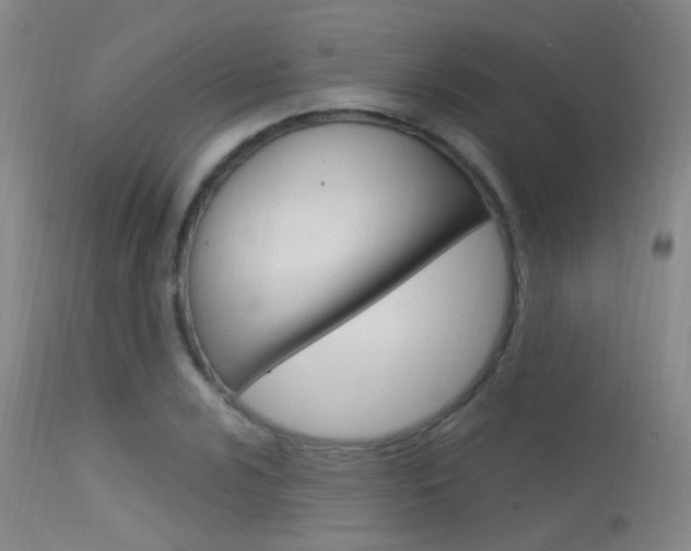 X0000113631024200909181259
