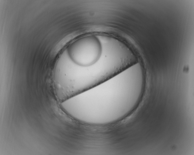 X0000113631025200909181259