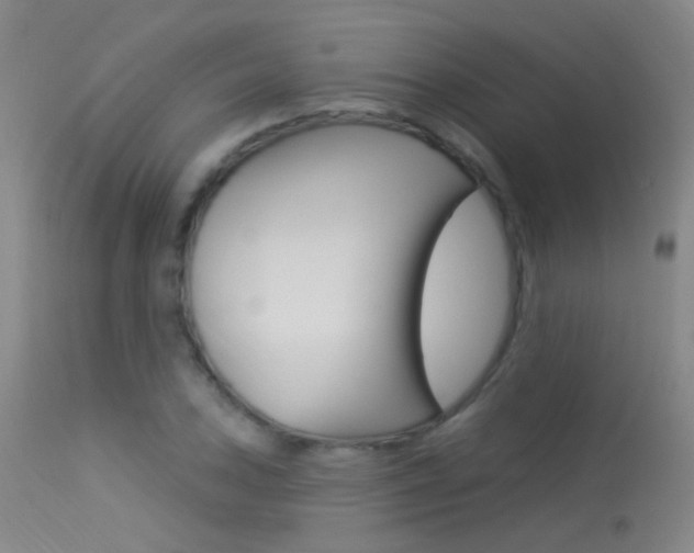 X0000113631027200909181259