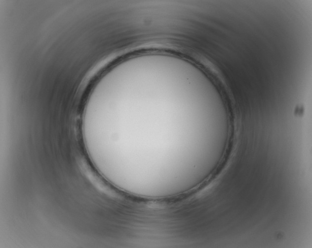 X0000113631029200909181259