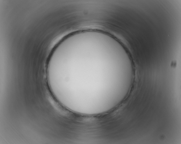 X0000113631031200909181259