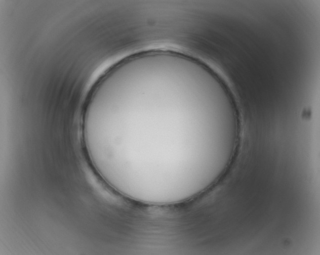 X0000113631032200909181259