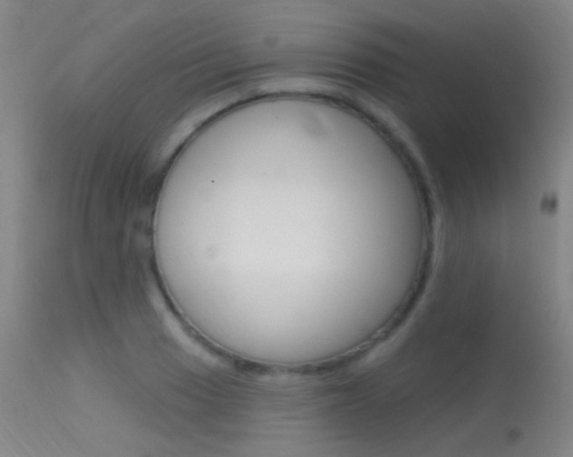 X0000113631033200909181259