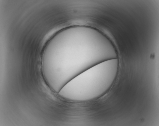 X0000113631035200909181259