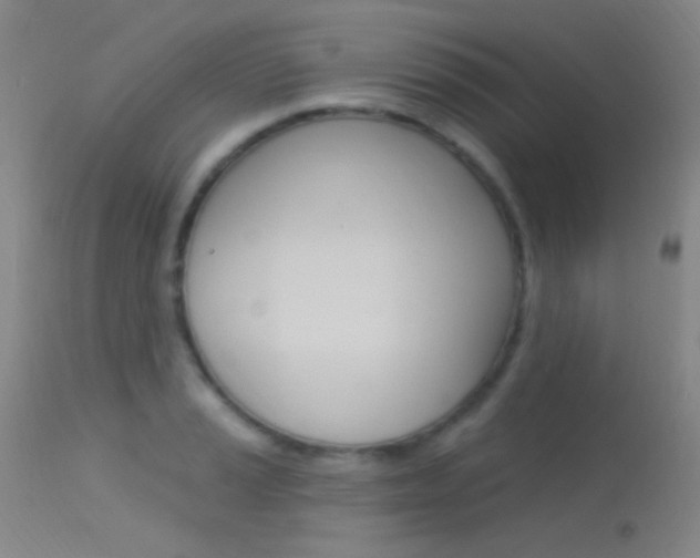 X0000113631037200909181300