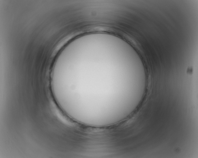 X0000113631039200909181300