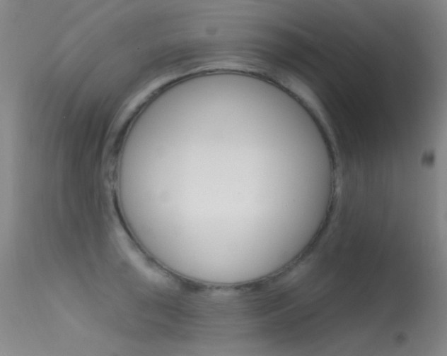 X0000113631043200909181300