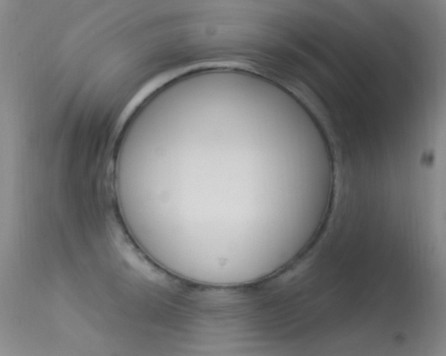 X0000113631044200909181300