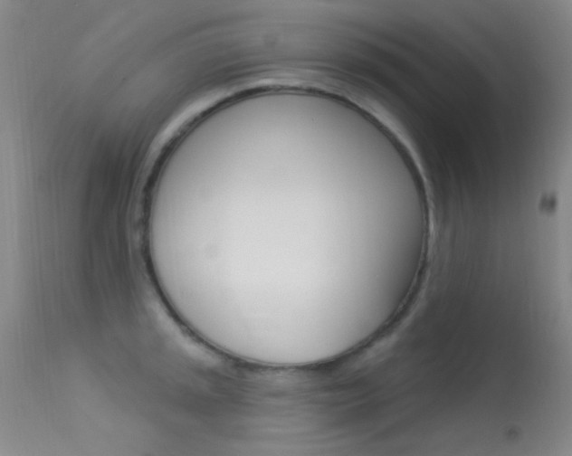 X0000113631045200909181300