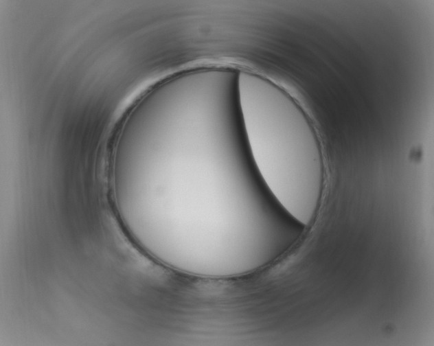 X0000113631046200909181300