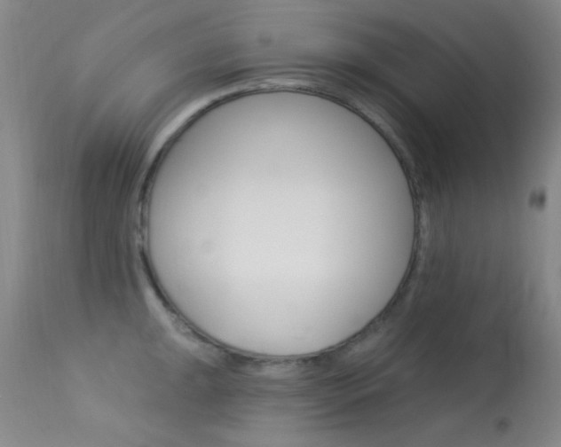 X0000113631047200909181300