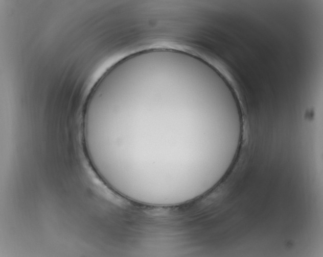 X0000113631048200909181300
