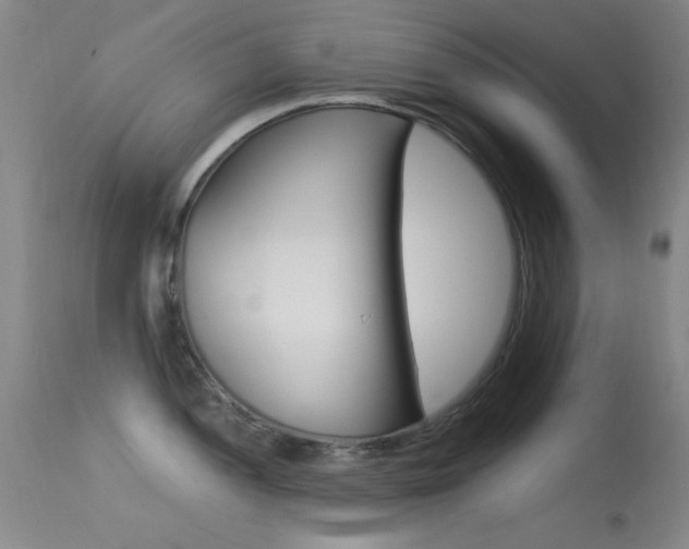 X0000113631052200909181300