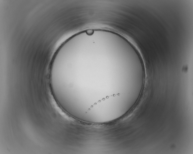 X0000113631053200909181300