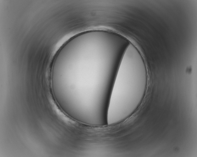 X0000113631054200909181300
