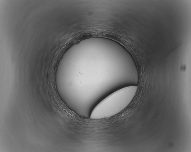 X0000113631057200909181259