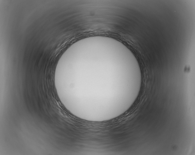 X0000113631060200909181259