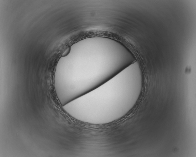 X0000113631062200909181259