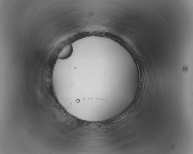 X0000113631063200909181259