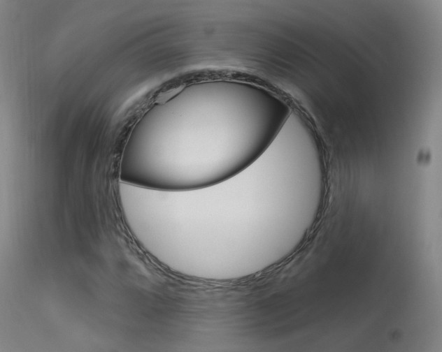 X0000113631064200909181259