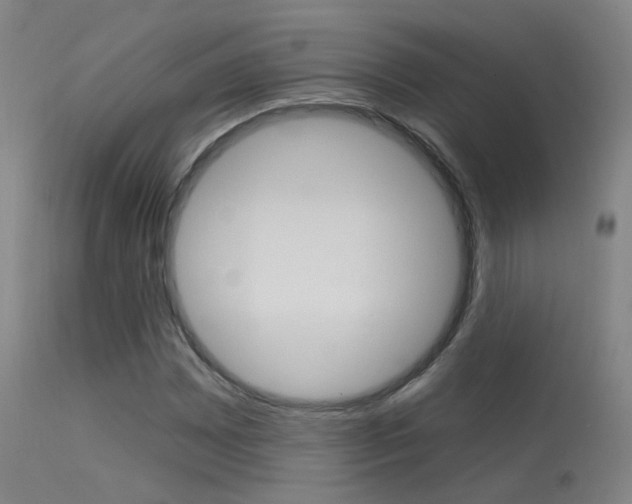 X0000113631065200909181259