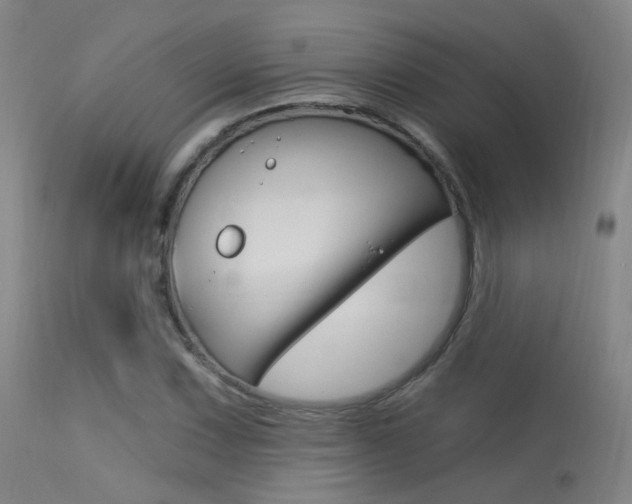 X0000113631067200909181259