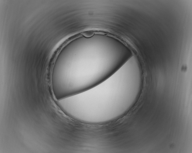 X0000113631068200909181259