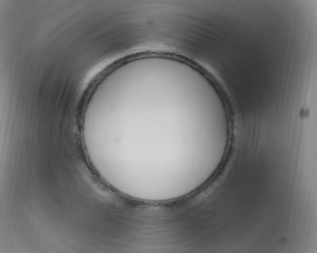 X0000113631070200909181259