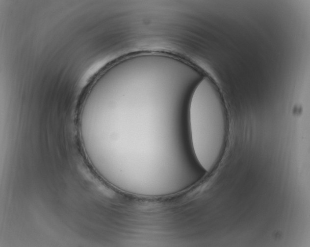 X0000113631071200909181259