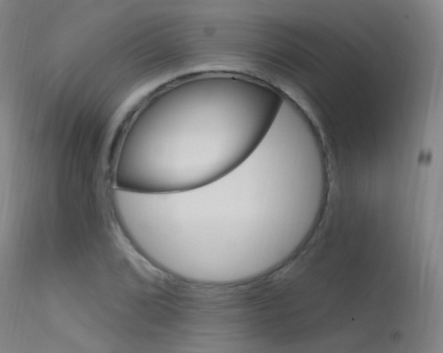 X0000113631072200909181259