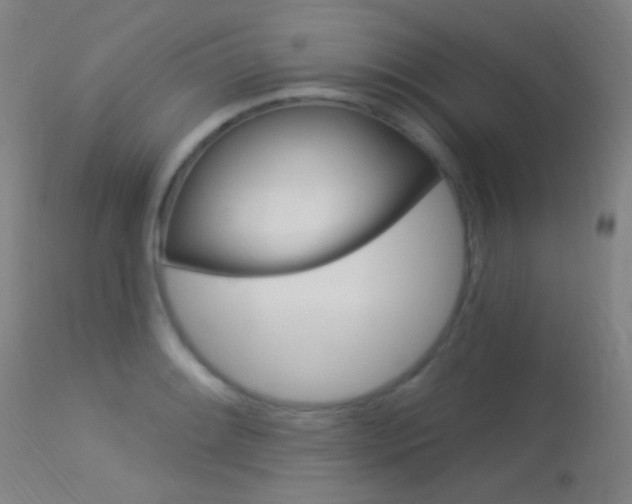 X0000113631084200909181259