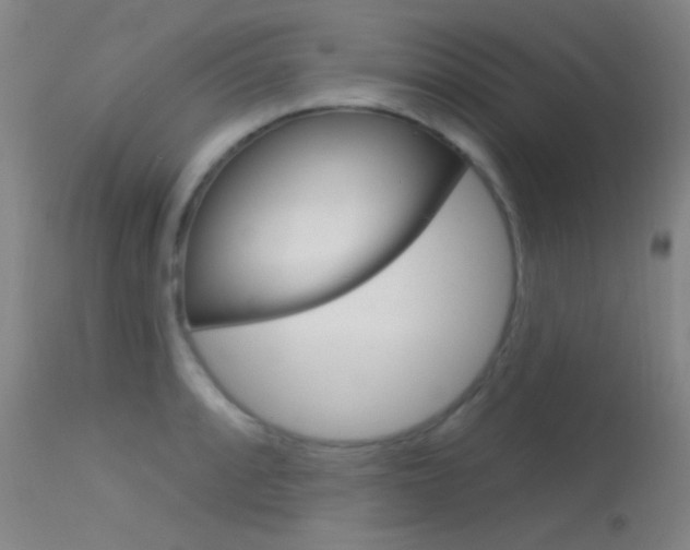 X0000113631088200909181259