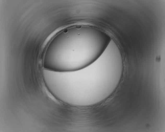 X0000113631092200909181259