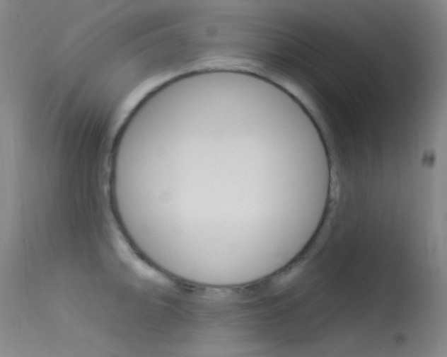 X0000113631094200909181258