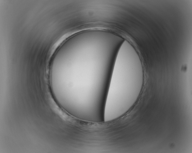 X0000113631099200909181258