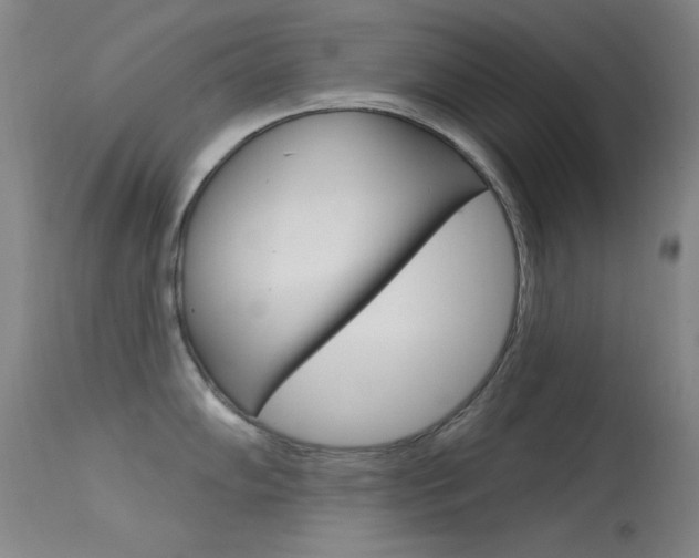 X0000113631102200909181258