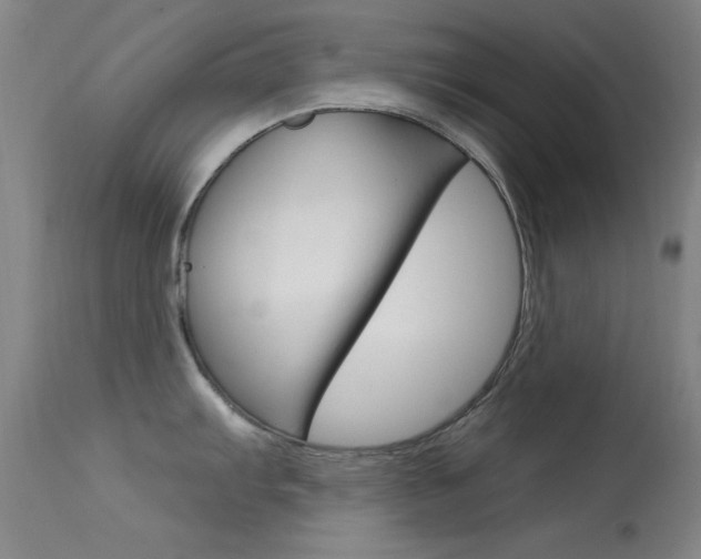 X0000113631103200909181258